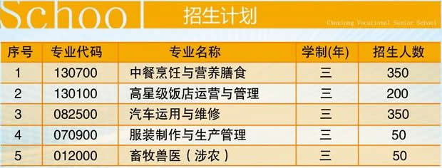 楚雄市职业高级中学招生计划