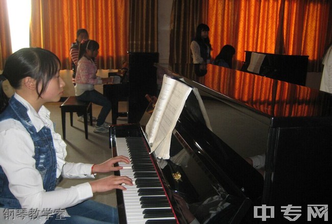 宜宾县柳嘉职业技术学校钢琴教学室