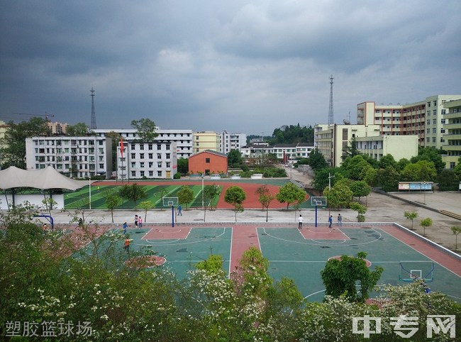 宜宾县柳嘉职业中学校塑胶篮球场