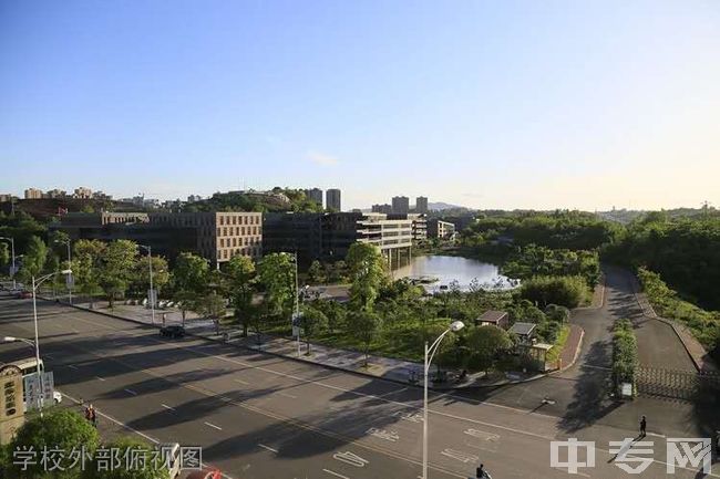 重庆艺术工程职业学院学校外部俯视图