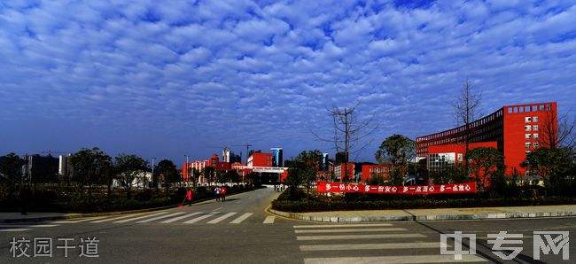 铜仁幼儿师范高等专科学校校园干道