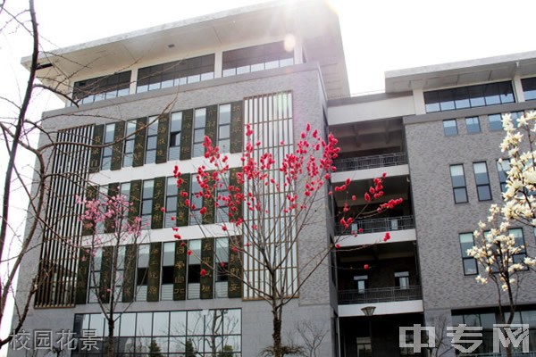 汉中职业技术学院校园花景