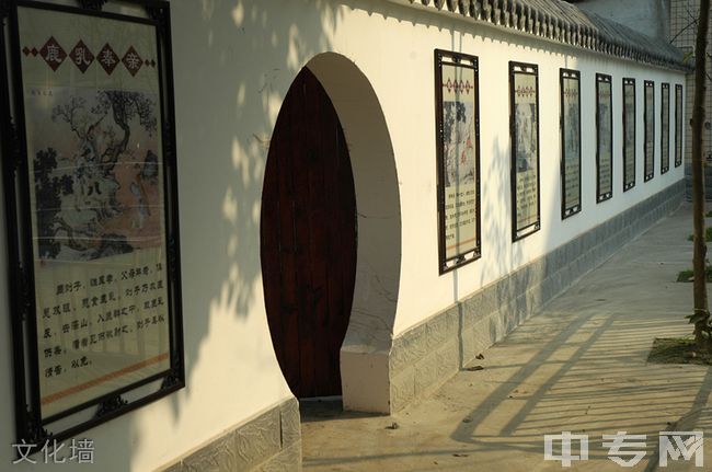 成都温江二中文化墙