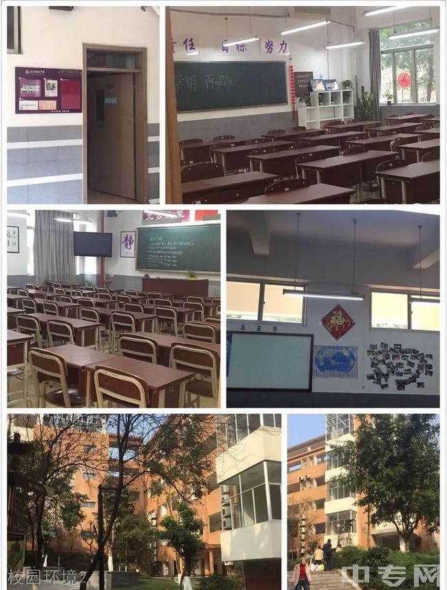 重庆南开融侨中学校园图片环境怎么样
