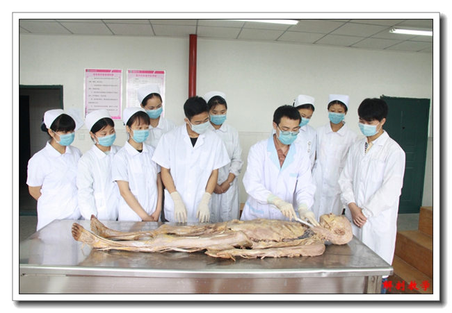 重庆医药学校(长寿卫校)重症监护室