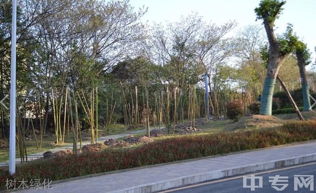 贵阳市女子职业学校(贵阳市旅游学校)树木绿化