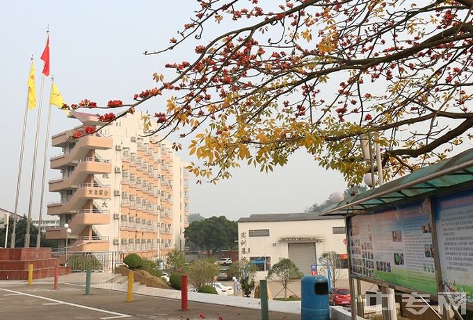 佛山市南海区九江职业技术学校学校风景