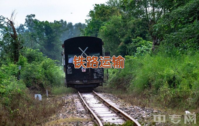 潍坊市新航科技职业中等专业学校铁道运输服务