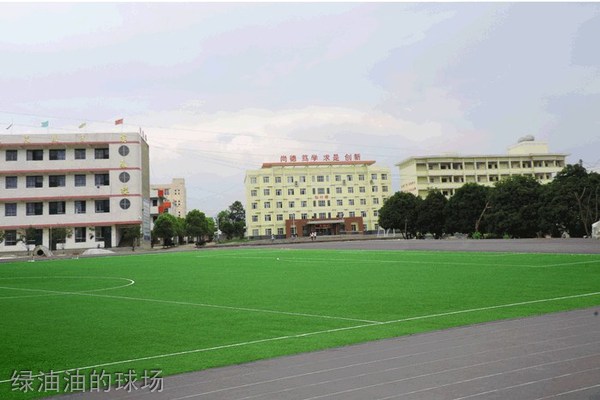 汉滨区新建中等职业技术学校绿油油的球场