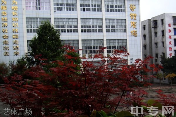 重庆市永川职业教育中心艺体广场