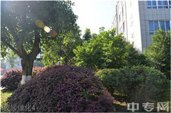 广安技师学院校园绿化4