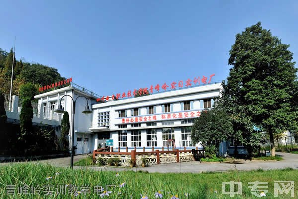 四川电力职业技术学院[专科]青峰岭实训教学电厂