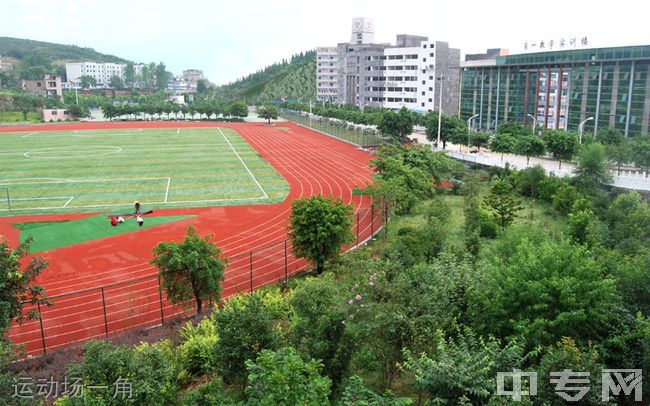 重庆工贸职业技术学院[专科]运动场一角