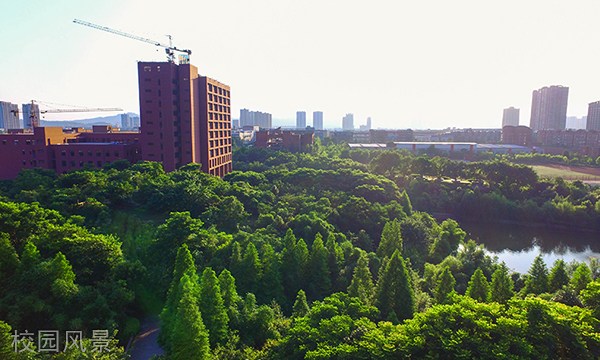 重庆机电职业技术大学[专科]校园风景