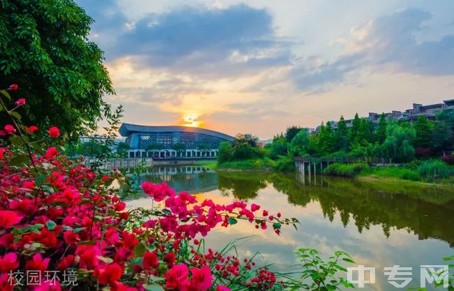 重庆科技职业学院[专科]校园环境