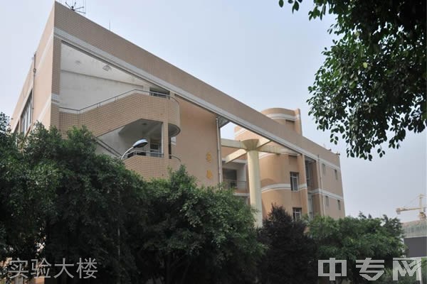 四川文化产业职业学院[专科]实验大楼