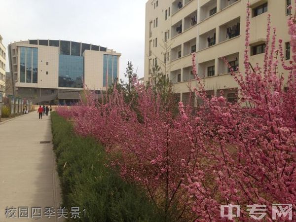 延安职业技术学院[专科]校园四季美景1