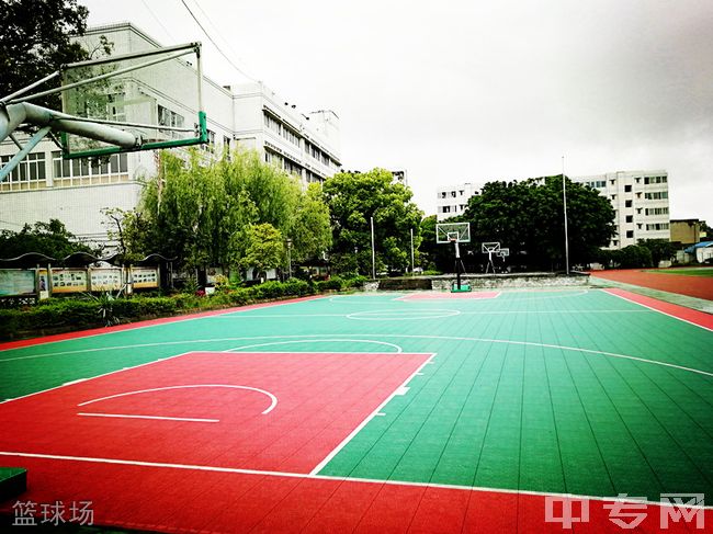 绵阳市丰谷中学[普高]篮球场
