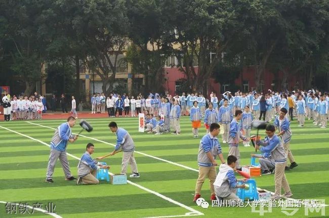 四川师范大学实验外国语学校[普高]钢铁产业