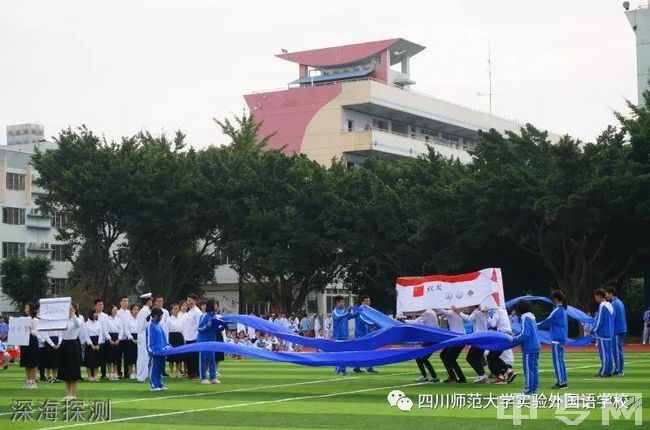 四川师范大学实验外国语学校[普高]深海探测