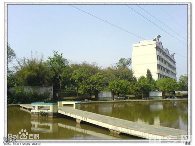 重庆荣昌仁义中学[普高]湖水