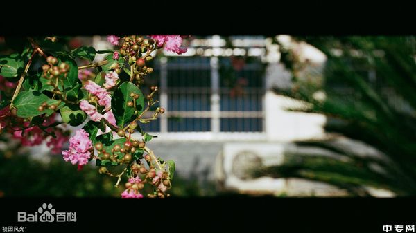 贵州锦屏中学[普高]校园风光1