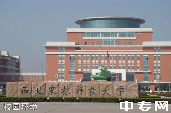 ☆西北农林科技大学继续教育学院校园环境