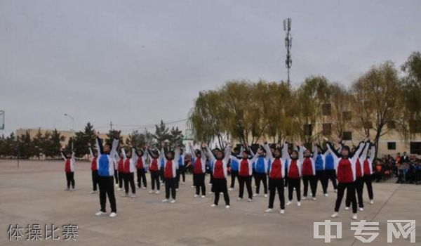 榆林市靖边县第七中学[普高]体操比赛