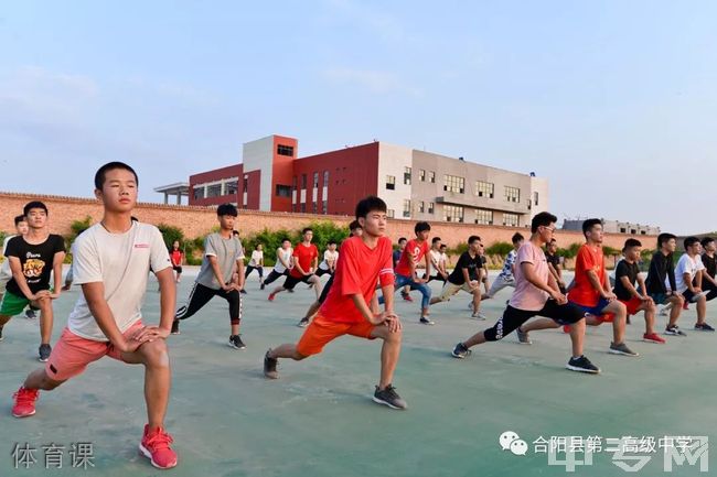 合阳县第二高级中学[普高]体育课