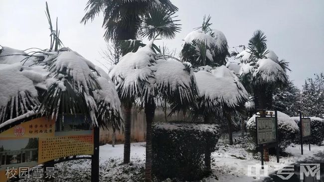 宣威市第三中学[普高]校园雪景