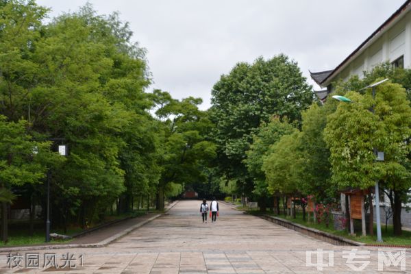 丽江市第一高级中学[普高]校园风光1