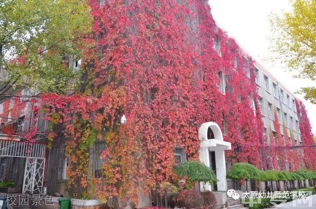 太原幼儿师范学校校园景色