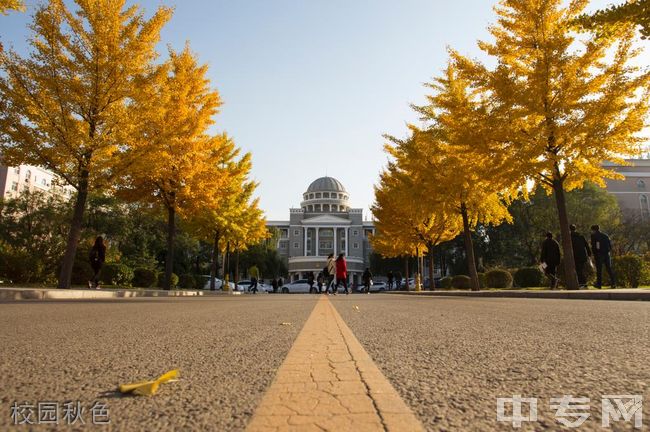 太原科技大学[本科/专科]校园秋色