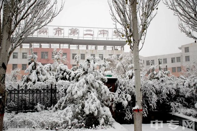 朔城区第二中学校[普高]校园雪景