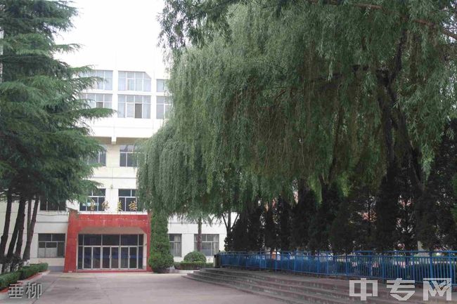 高平一中实验学校[普高]垂柳