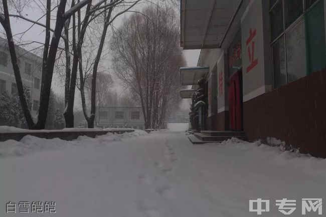 高平市特立中学[普高]白雪皑皑