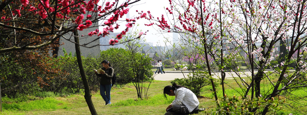 湖北师范大学湖北师范大学校园一角