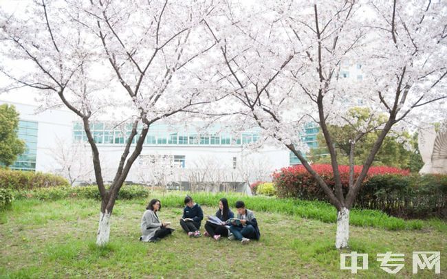 上海济光职业技术学院樱花树下