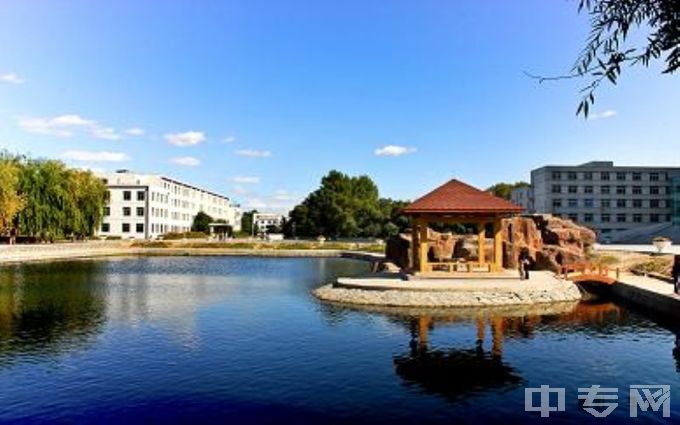 长春师范大学长春师范大学人工湖夏景