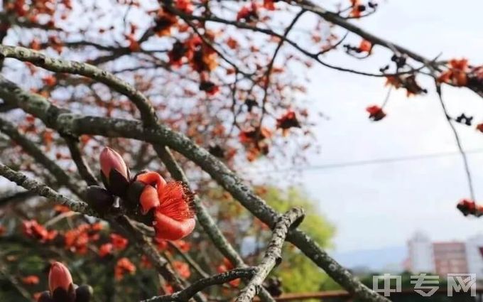 闽南师范大学夏季