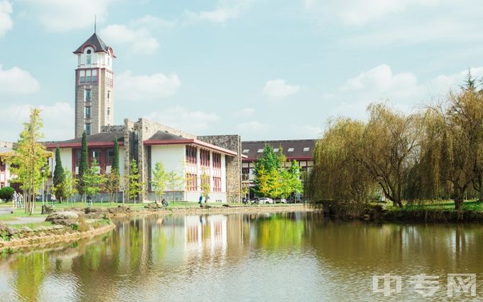 成都东软学院校园风景6