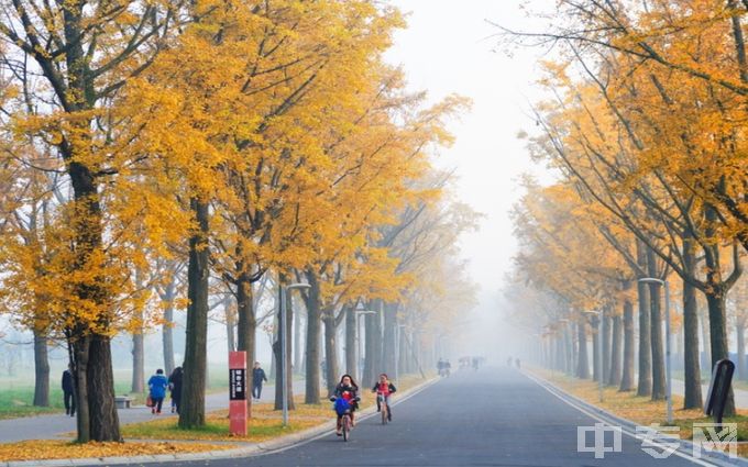 电子科技大学电子科技大学2