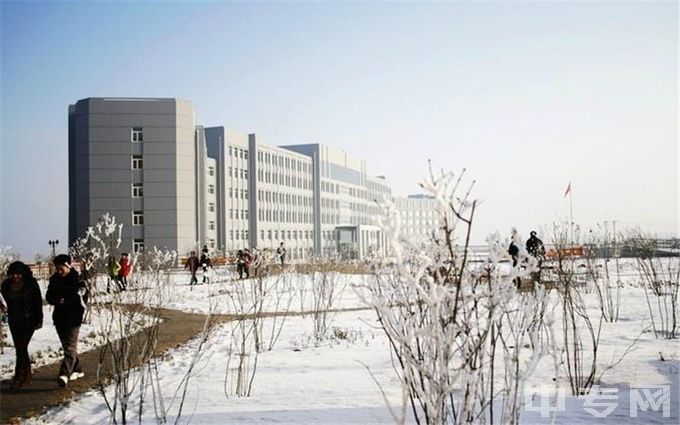 哈尔滨城市职业学院哈尔滨城市职业学院--校园雪景