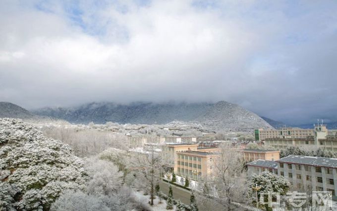 西藏农牧学院校园雪景