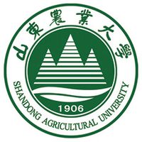 山东农业大学图片