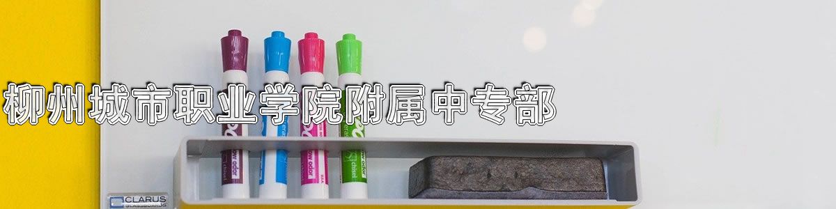 柳州城市职业学院附属中专部