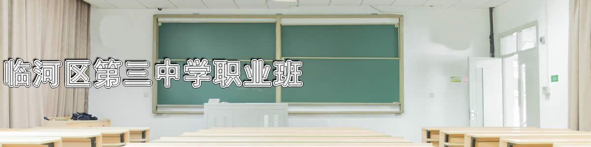 临河区第三中学职业班