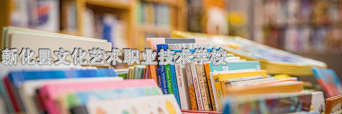 新化县文化艺术职业技术学校