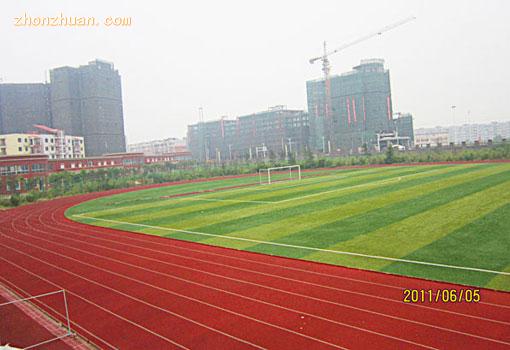 四川联合经济专修学院-四川联合学院-学校运动场