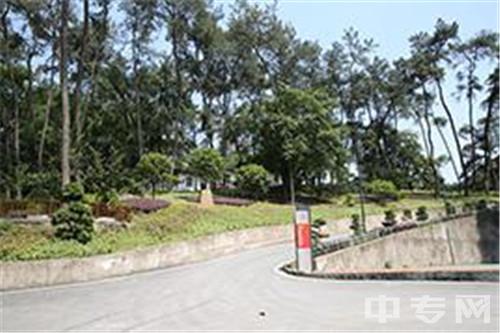 四川仪表工业学校-松园景观